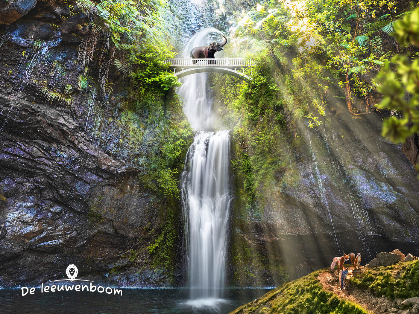 Magische waterval illustratie uit het originele kinderboek Leo de Leeuwenboom