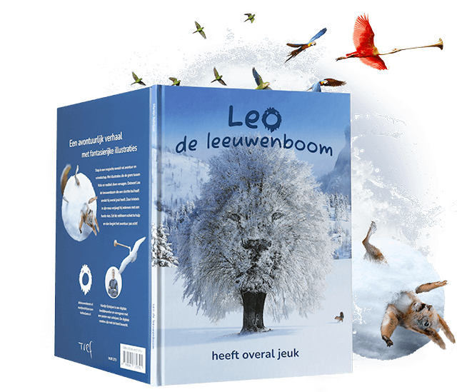 Creatieve visuals die opvallen