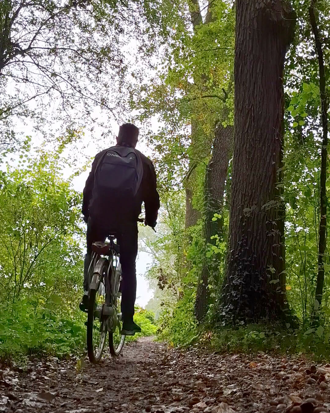 Ontwerper vindt inspiratie in de natuur bij een boom