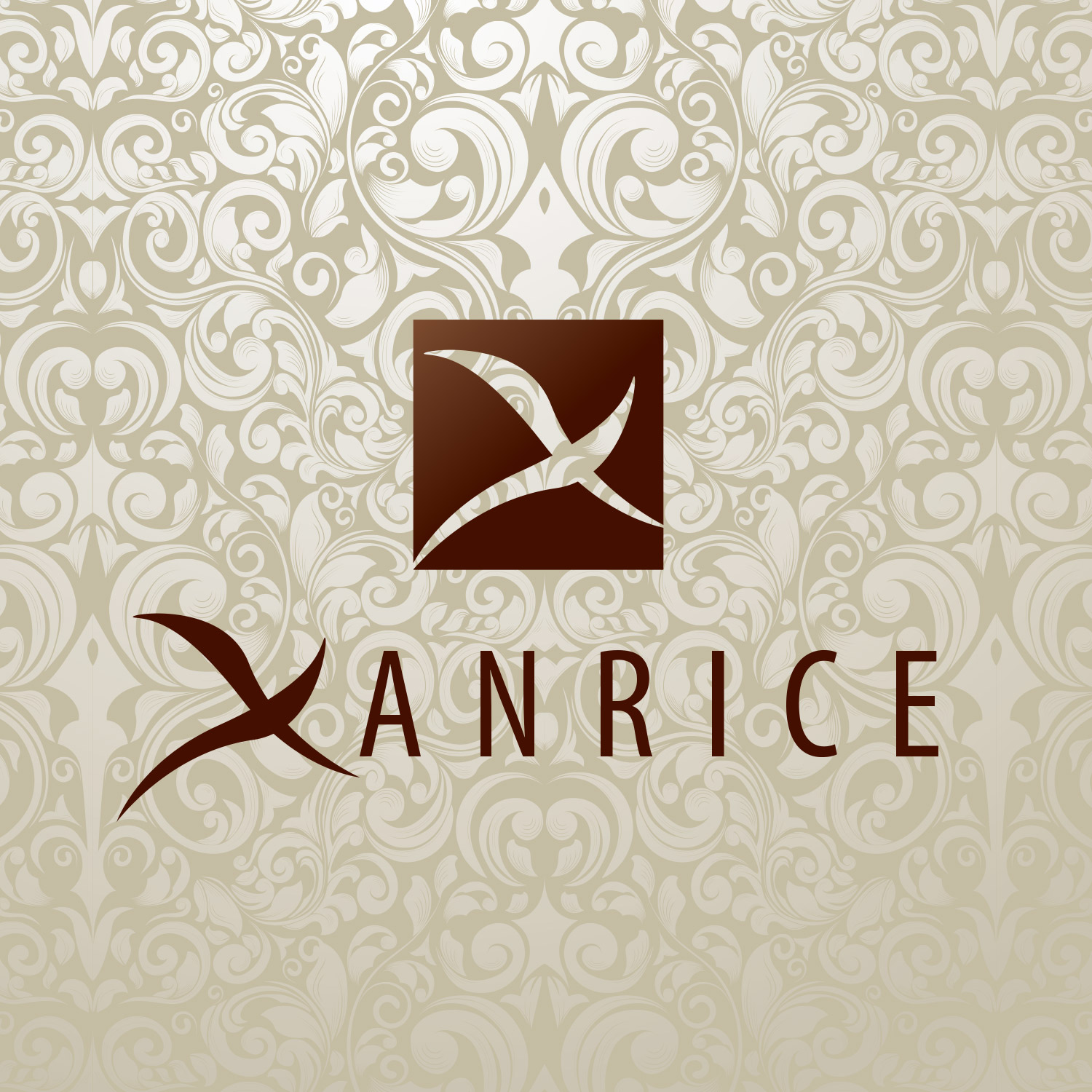 Xanrice logo en huisstijl ontwerp